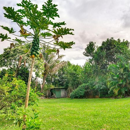 Charming Historic Hilo House Minutes To Beach! Exteriér fotografie