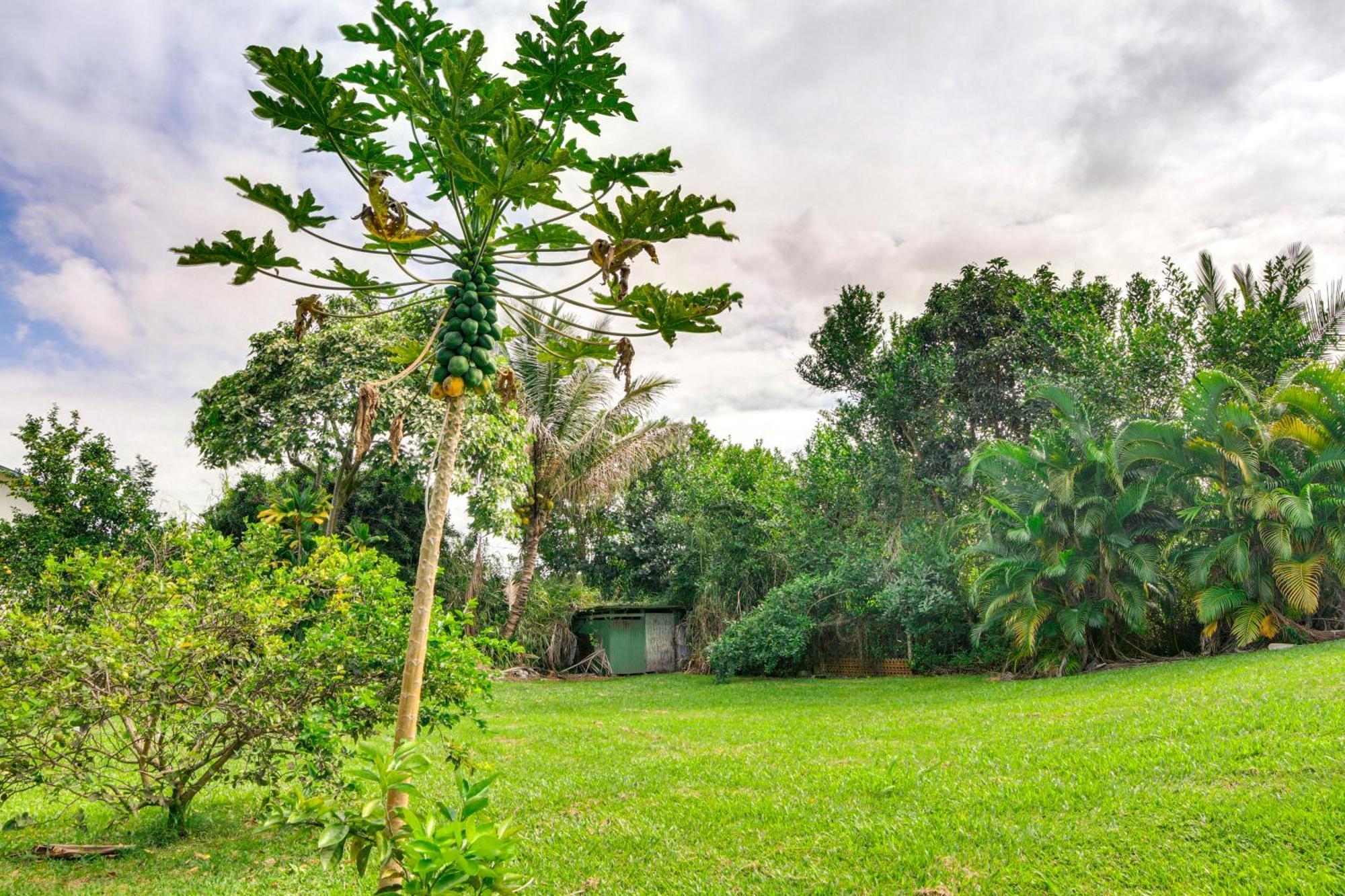 Charming Historic Hilo House Minutes To Beach! Exteriér fotografie
